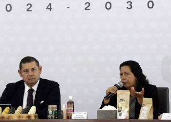 Rebasan 49 mil apoyos directos al campo en 211 municipios