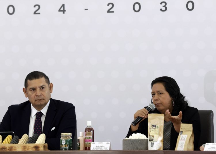 Rebasan 49 mil apoyos directos al campo en 211 municipios