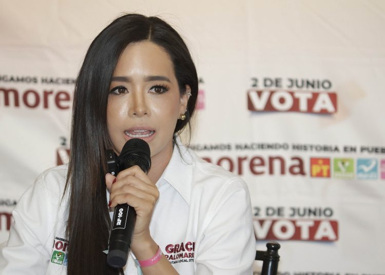 Graciela Palomares dejará la LXII Legislatura y llegará su suplente