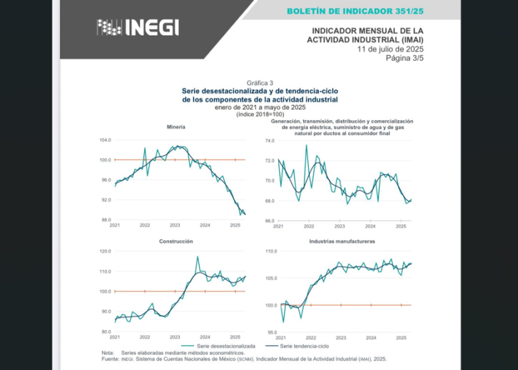 Preocupa caída económica
