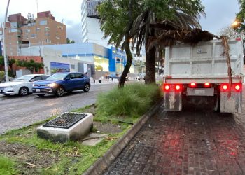 Ayuntamiento atiende reportes en distintas zonas por lluvias
