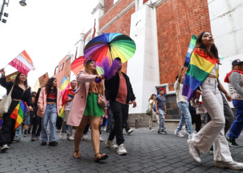 La participación de las personas de la diversidad sexual en el ámbito democrático