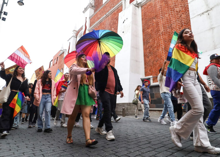 La participación de las personas de la diversidad sexual en el ámbito democrático