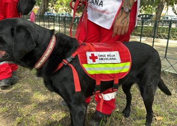 Tres nuevos lomitos se sumaron al grupo canófilo de la Cruz Roja en Puebla