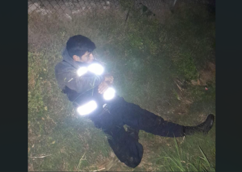 Robos violentos de ganado porcino deja pérdidas por 10 mdp