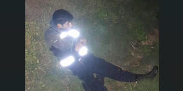 Robos violentos de ganado porcino deja pérdidas por 10 mdp