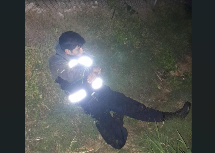 Robos violentos de ganado porcino deja pérdidas por 10 mdp