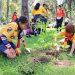 Sedif siembra esperanza y conciencia ambiental en la zona de Los Fuertes