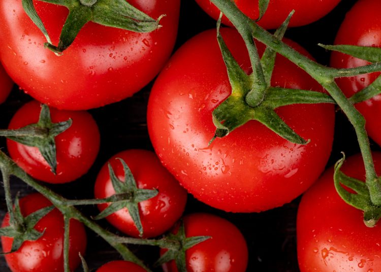 México deberá pagar un arancel por exportación de jitomate