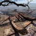 Descubren posibles restos del navío español La Fortuna
