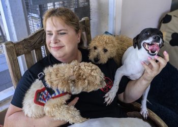 Mascotas abandonadas por migrantes deportados agravan crisis de refugios animales en EE.UU.