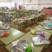 Prohíben atún en comedores escolares de París