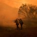 Dos incendios forestales avanzan en California