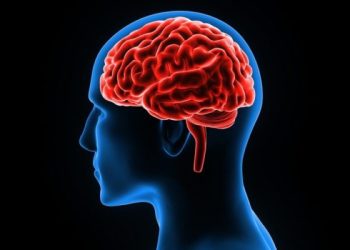 La pandemia aceleró la vejez cerebral