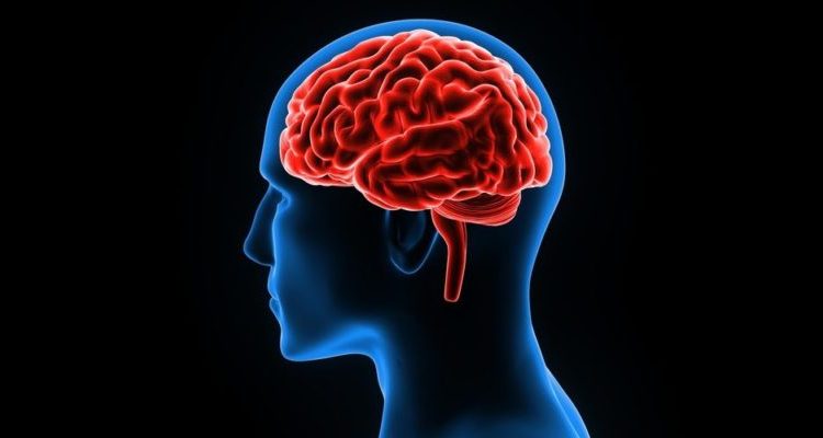 La pandemia aceleró la vejez cerebral