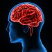 La pandemia aceleró la vejez cerebral