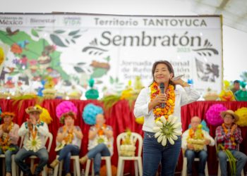 Inicia desde Veracruz Sembratón 2025. Jornada Nacional de Reforestación del programa Sembrando Vida