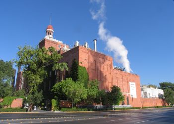 Día Mundial de la Cerveza: México el cuarto productor a nivel mundial