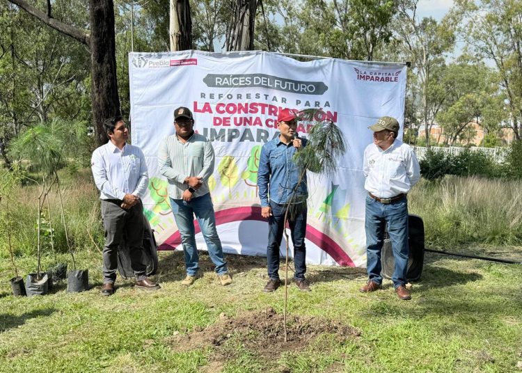 Gobierno de la Ciudad impulsa una Puebla más verde: 520 nuevos árboles para fortalecer nuestras áreas verdes