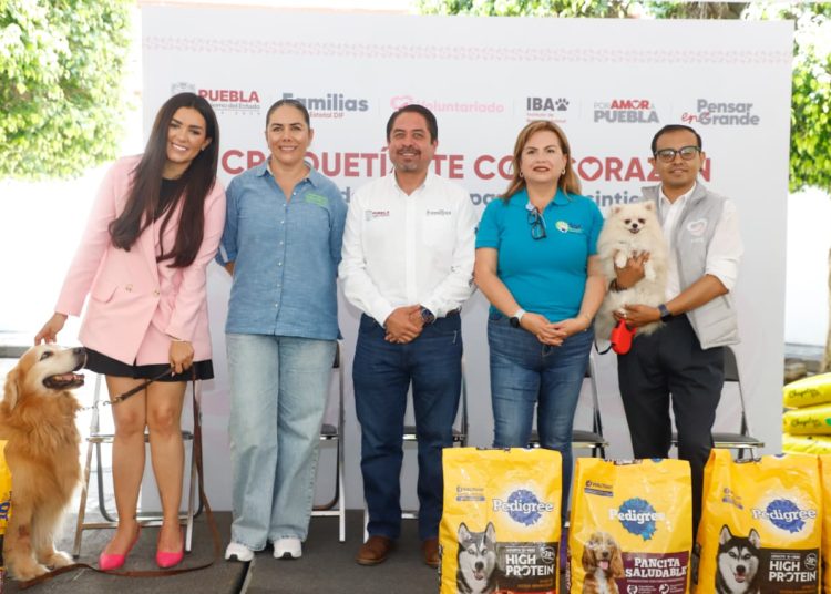 SEDIF impulsa acciones para bienestar y protección de seres sintientes