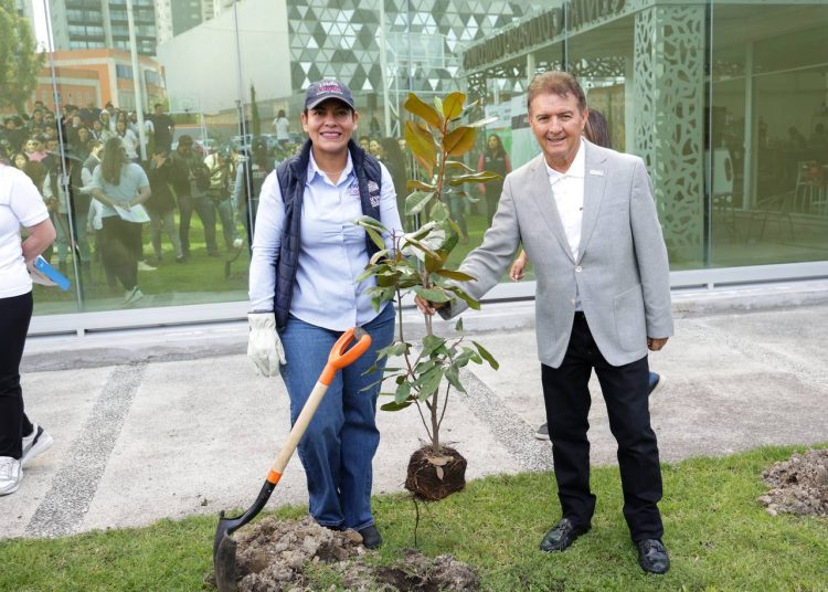 Lupita Cuautle lidera jornada de reforestación en la UNILOMAS