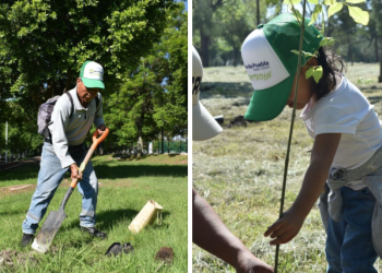 Agua de Puebla culmina con éxito su Programa de Reforestación 2025