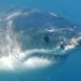 Tiburones blancos en el Lejano Oriente ruso por cambio climático