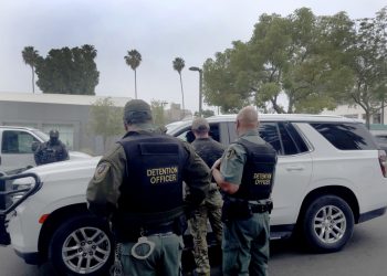 Bajan en un 19% los arrestos de inmigrantes en julio en EE.UU.