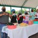 SEDIF otorga capacitación sobre alimentos nutricionales para una niñez sana