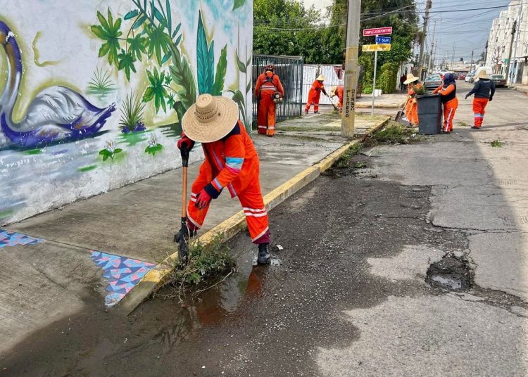 Gobierno de la Ciudad refuerza labores de sanidad en Loma Bella y zonas aledañas
