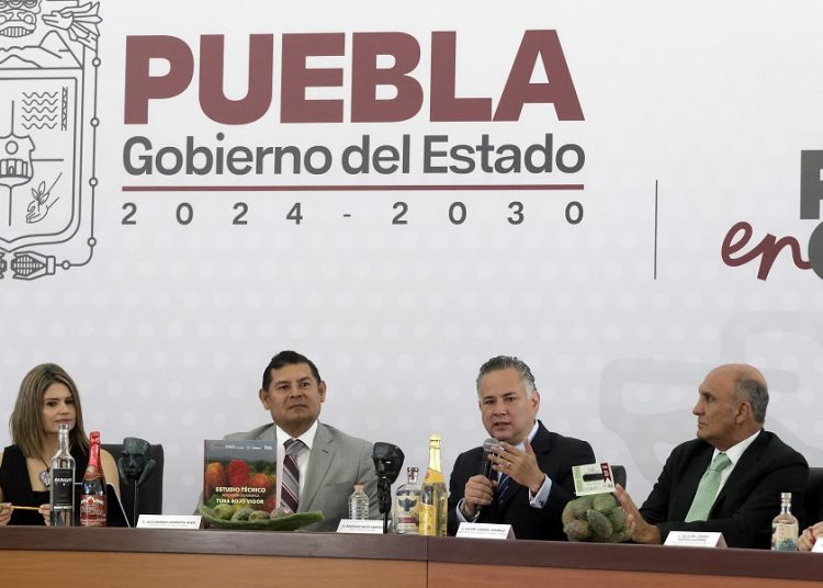 Puebla, con condiciones para convertirse en el ‘Silicon Valley’ mexicano