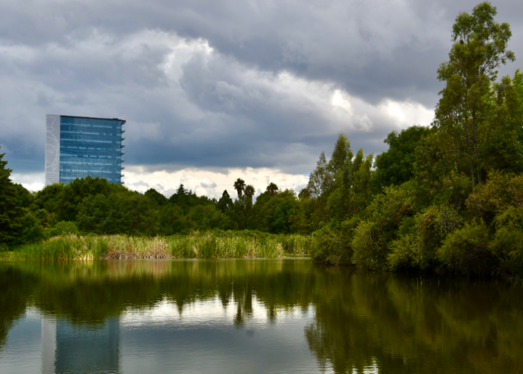 Jardín Botánico de la BUAP, 38 años de echar raíces y florecer