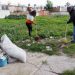 San Pedro Cholula implementa iniciativa ‘Barriendo Tu Calle’