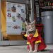 Minina, la gatita adoptada en un OXXO de Puebla (Video)