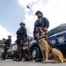 Puebla, entre 6 estados con menor nivel de certificación policial