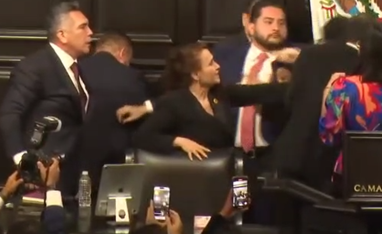 Senadores se enfrentan a golpes en cierre de sesión legislativa