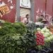 Puebla reporta menor inflación para un estado en julio