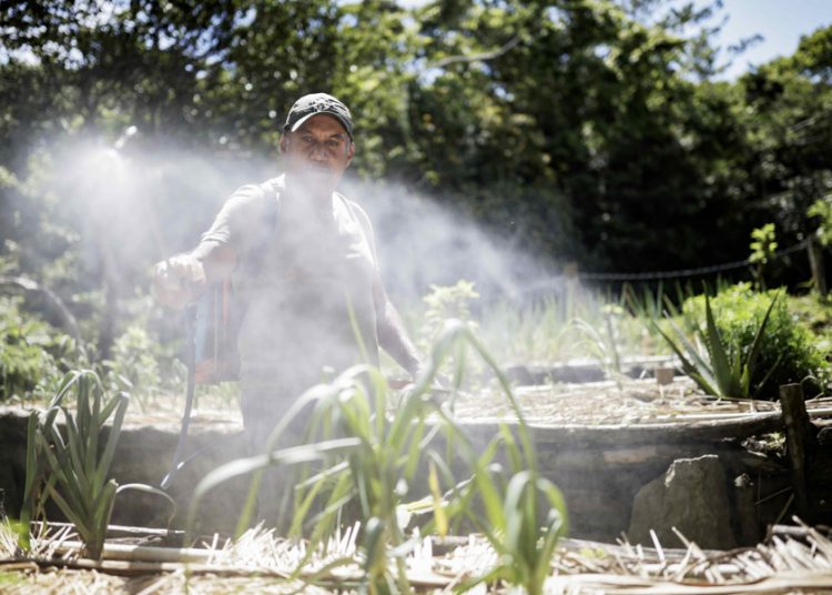 Permacultura en Costa Rica, un modelo sostenible