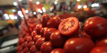 México ajusta precios de exportación de tomate fresco