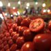 México ajusta precios de exportación de tomate fresco