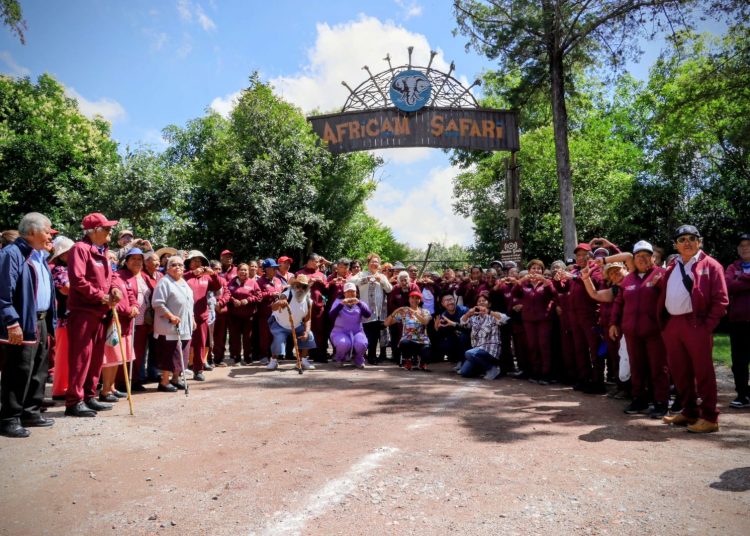 SMDIF Cuautlancingo lleva a Africam Safari a adultos mayores