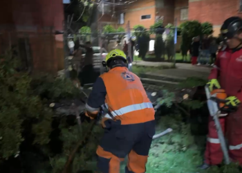 Atiende Protección Civil Municipal caída de árbol en Agua Santa