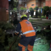 Atiende Protección Civil Municipal caída de árbol en Agua Santa