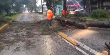 Activa Gobierno de la Ciudad protocolo de seguridad y limpieza urbana por lluvias