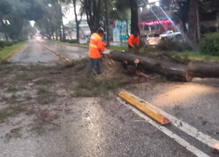 Activa Gobierno de la Ciudad protocolo de seguridad y limpieza urbana por lluvias