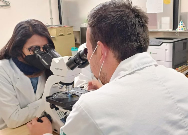 Organizan IMSS Puebla-UPAEP décimo foro de Investigación en Ciencias de la Salud