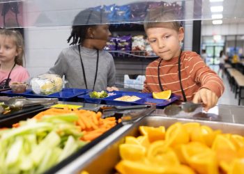33% de familias latinas en EE.UU. con problemas de alimentación infantil