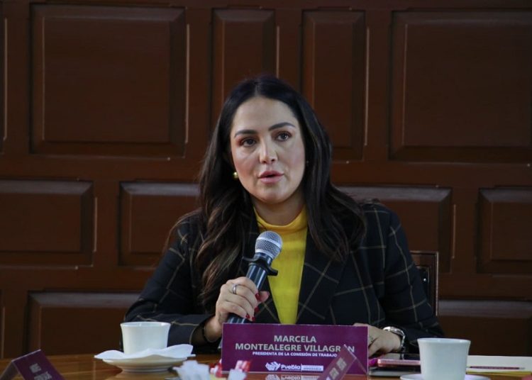 Restaurantes-bar, tiendas de autoservicios y casas de empeños, las más sancionadas
