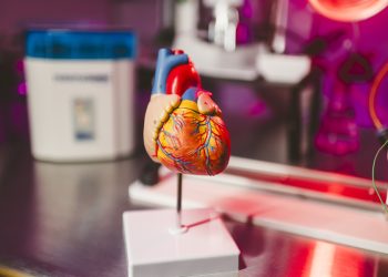 IA de EE.UU. busca prevenir infartos con latidos