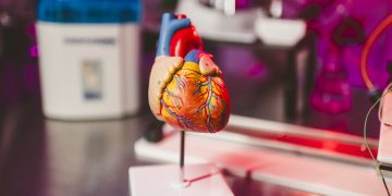 IA de EE.UU. busca prevenir infartos con latidos